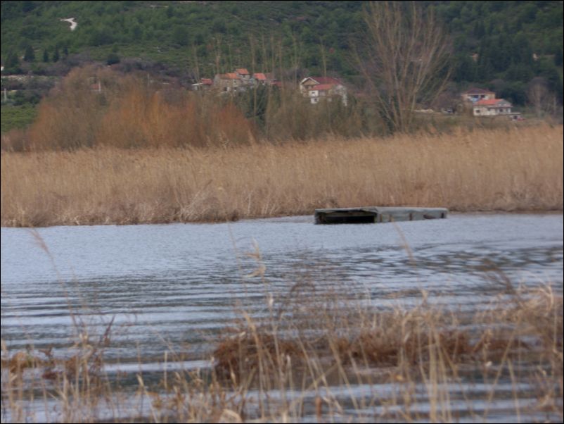 Poplava_u_Vidu_ (9)
